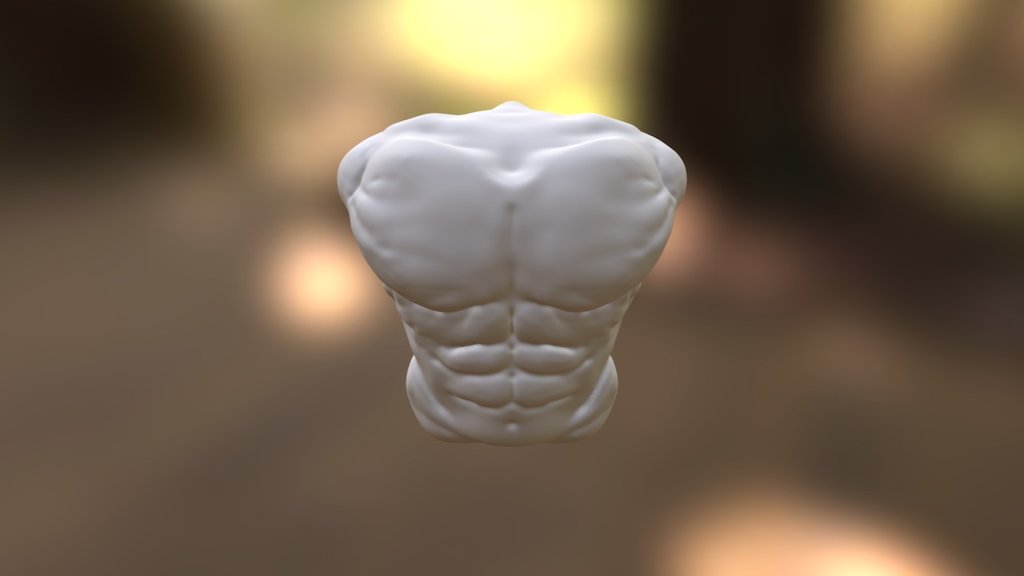 Male Torso