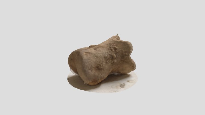 Cave Bear Phalanx