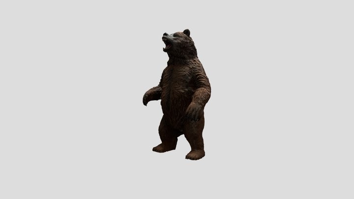 bear 3D Model