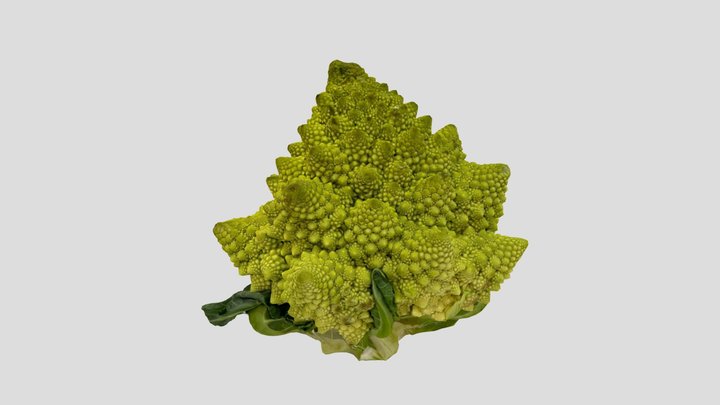 Broccolo Romanesco 06 3D Model
