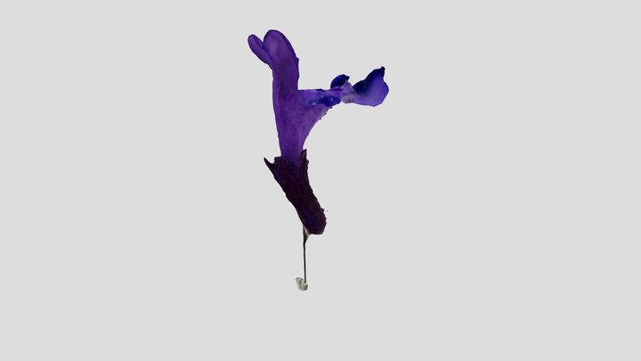 26-test 3D Model