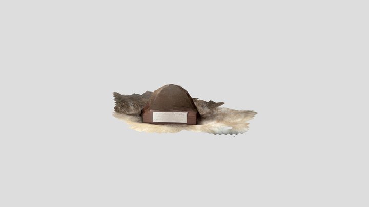 Massive sulphide trophy thing 3D Model