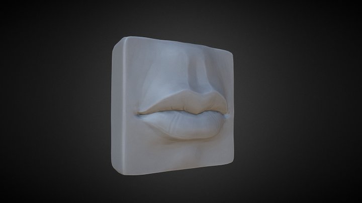 Anatomy Study - Lips 3D Model