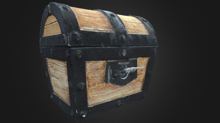 Chest - Cross Polarisation Scan – Free 3D Model STL