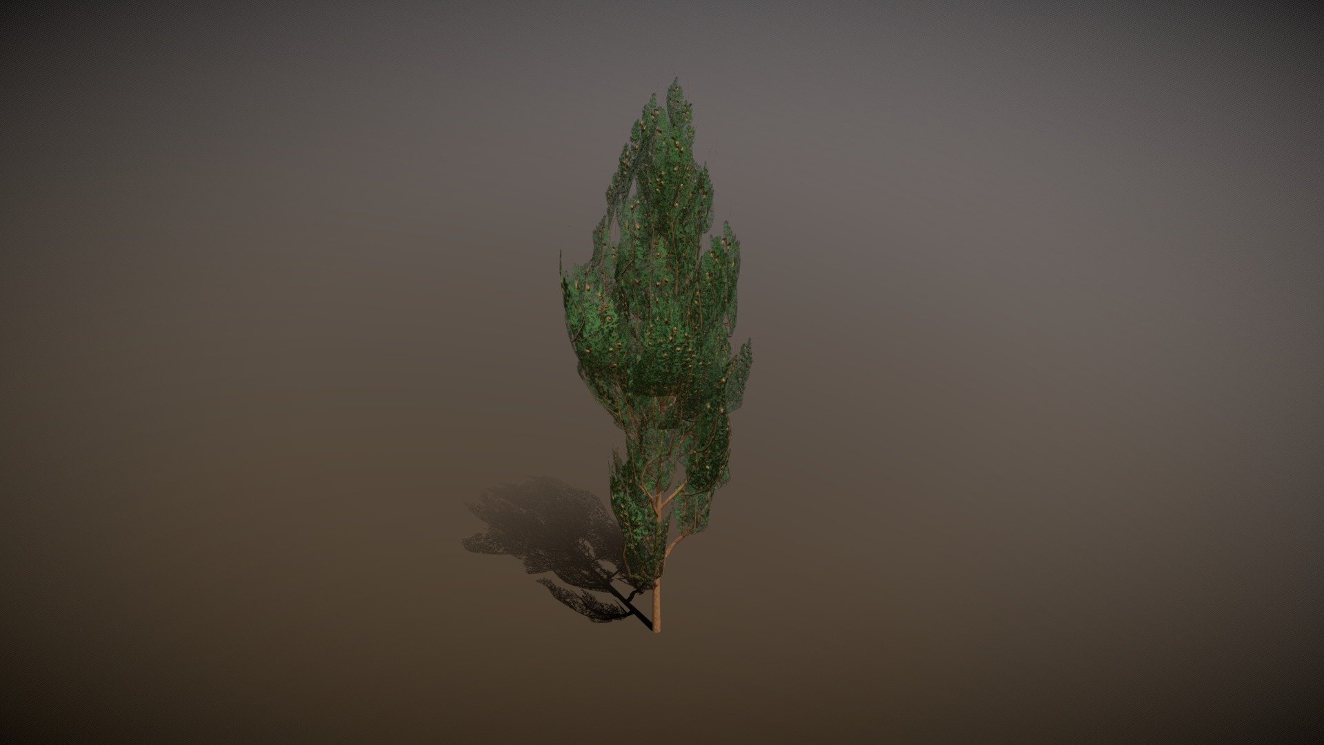 Cypress — Sketchfab embed 3D viewer