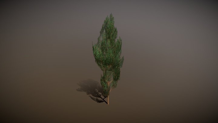 Cypress
