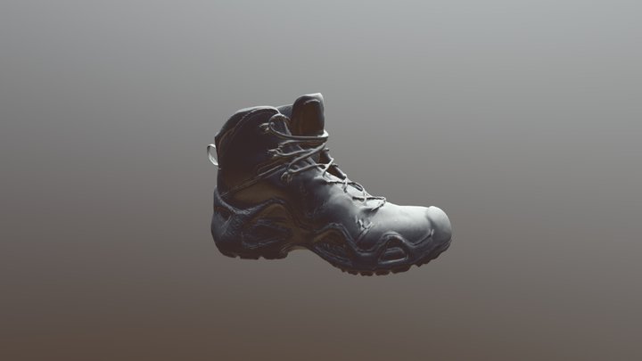 Hikingboot 3D Model