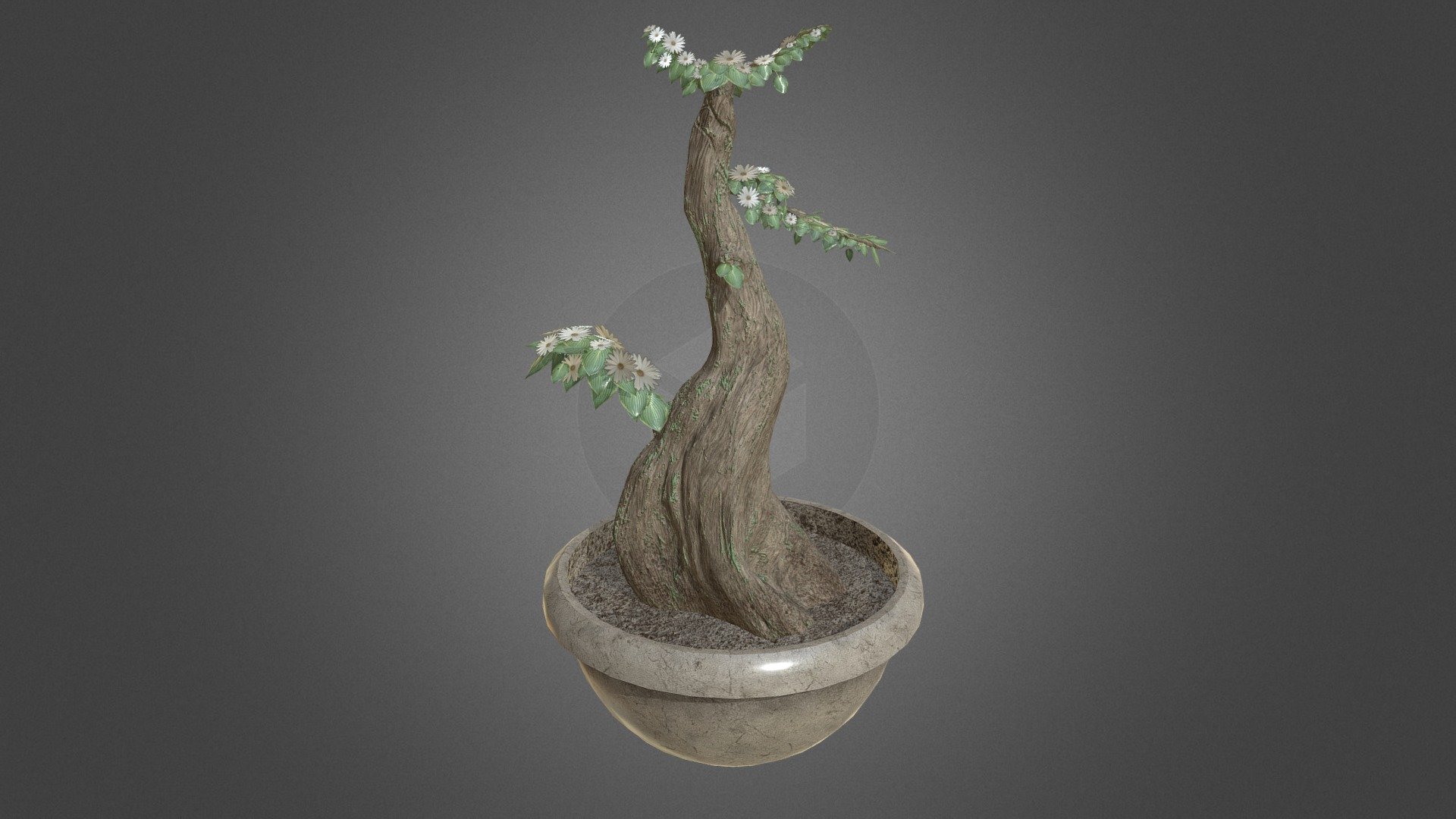 Bonsai Tree Download Free 3D model by deangothard [8780262] Sketchfab