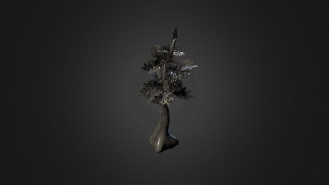 Baum 002 02 3D Model