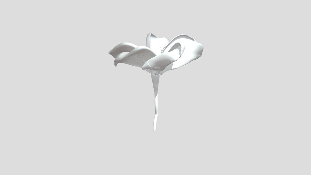 Jasmine Flower
