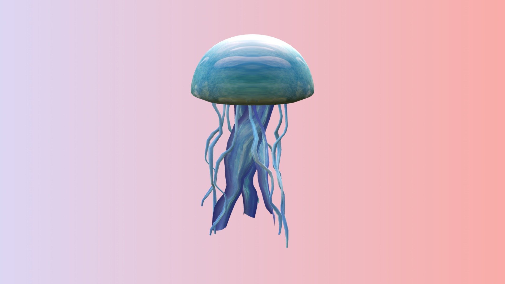 Jellyfish