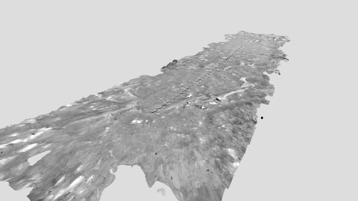 Mars Helicopter Ingenuity Flight 4 3D Model