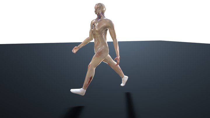 WALK ANIM 3D Model