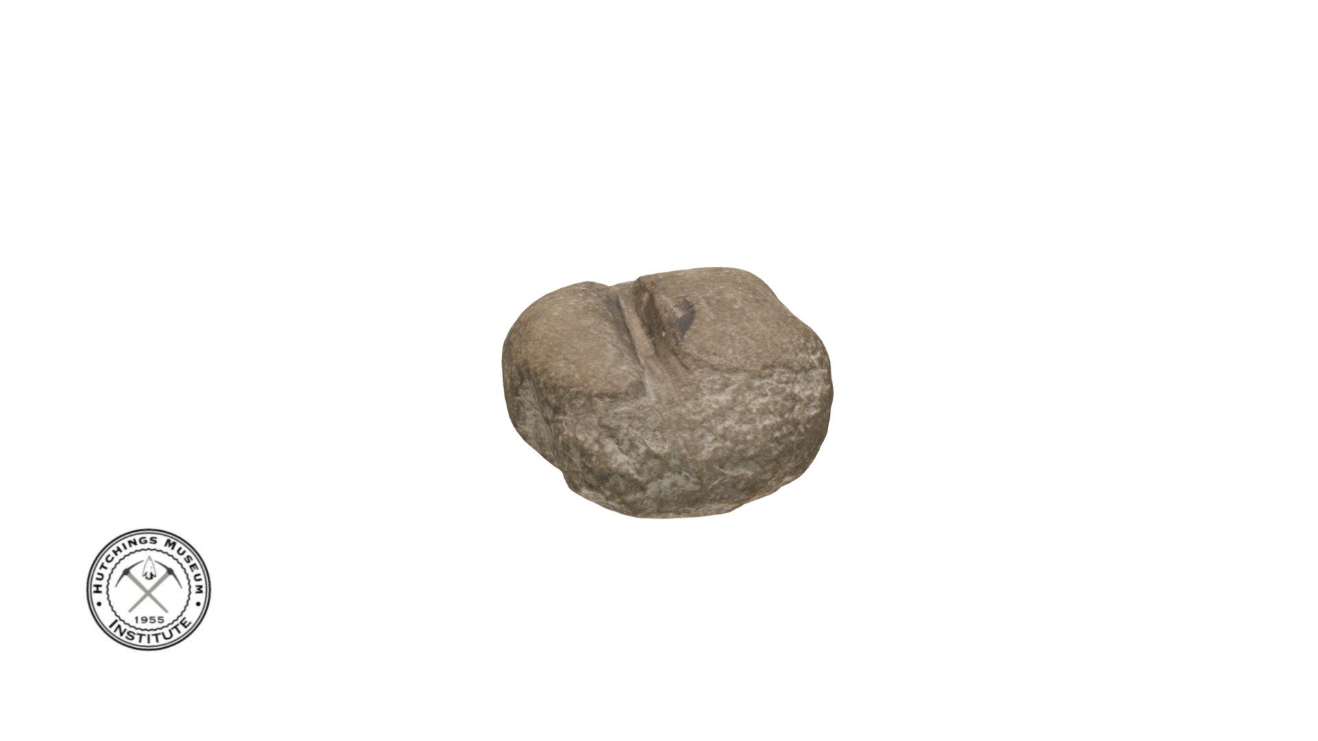 Stone Shaft Abrader