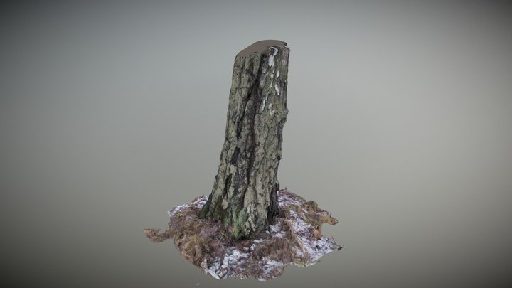 tree 3D Model