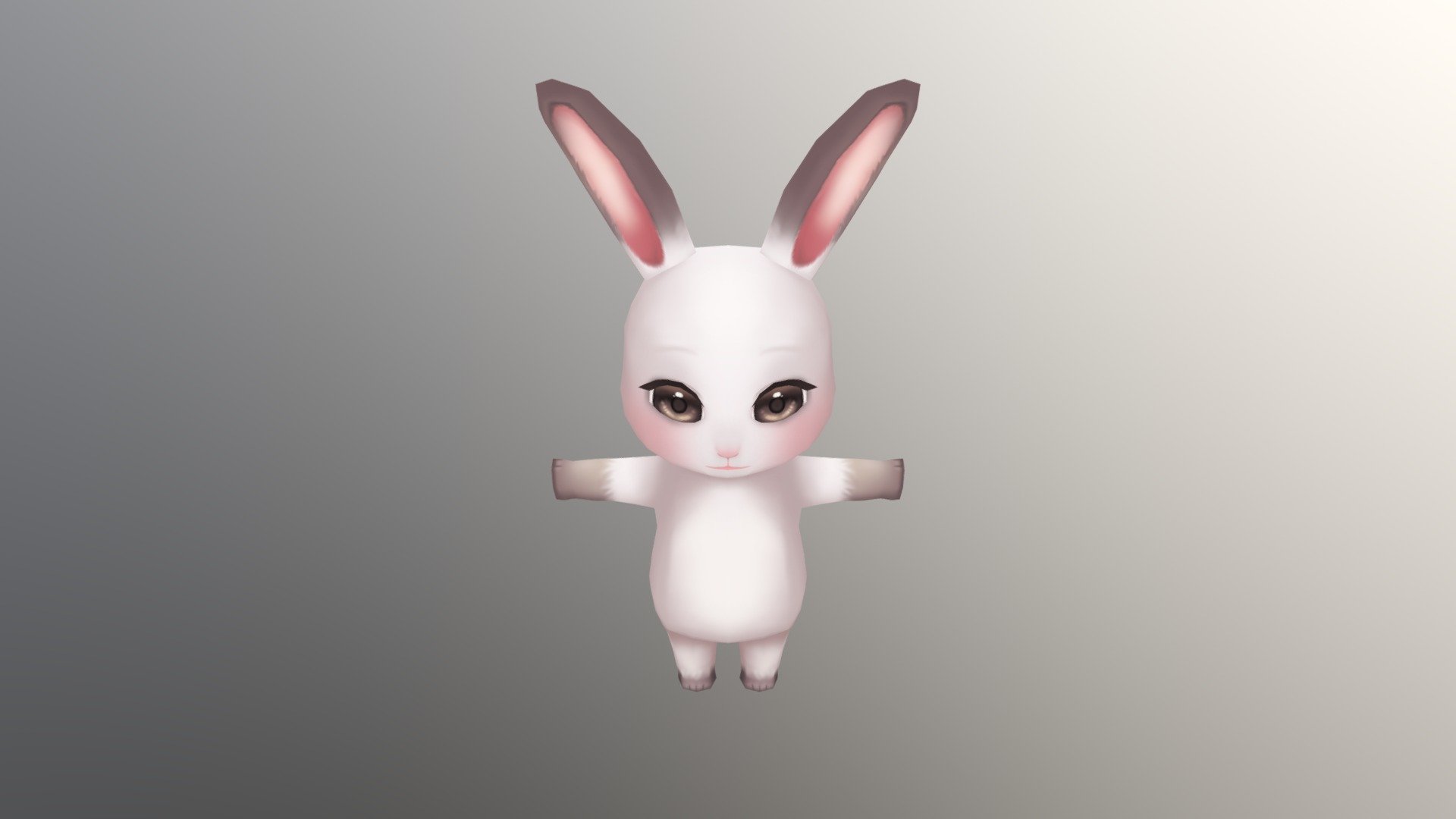 Rabbit