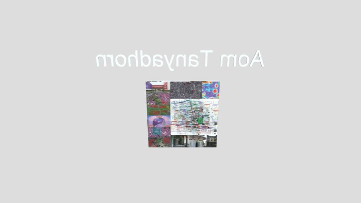 Y4_S1_Moe_Aom_TextureModel 3D Model