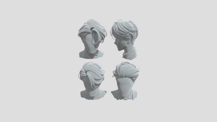 Four Hair model 3D Model