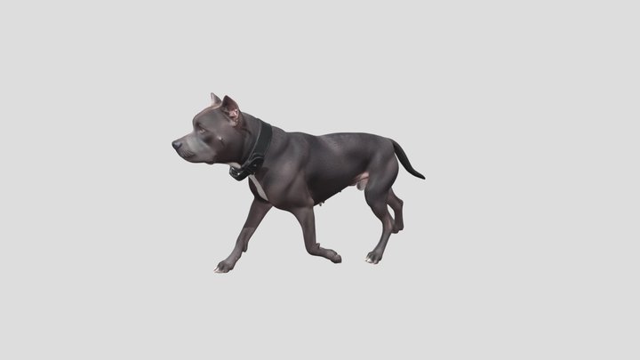 Grey Pit Bull In Motion – Kostenloses 3D-Modell STL