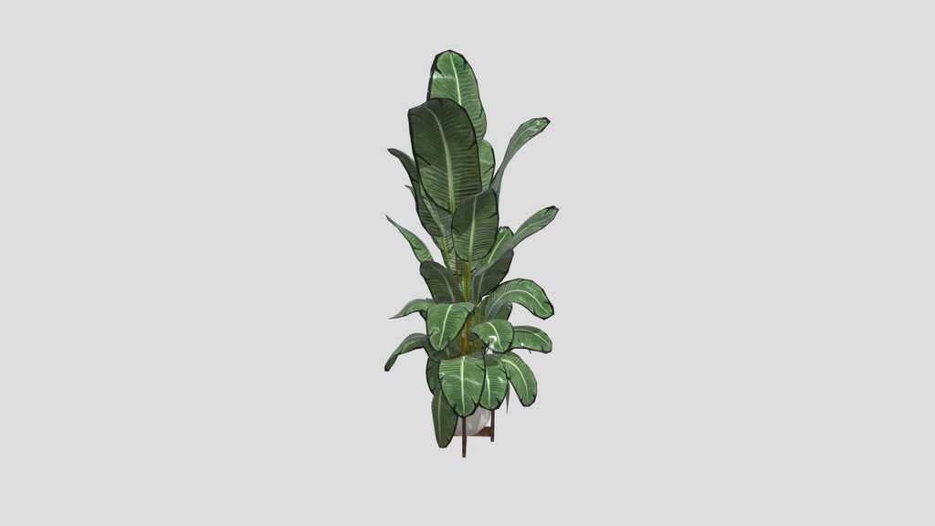 Plant