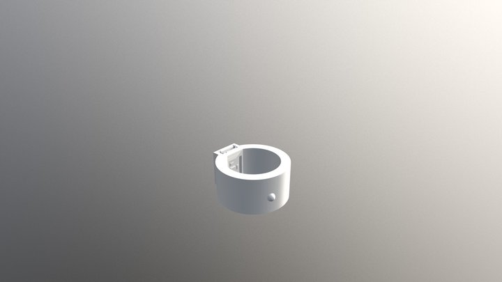 RING BOARD 3D Model