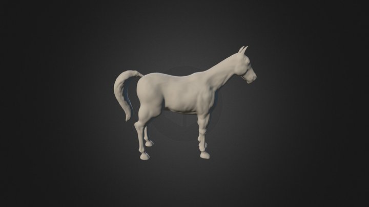 horse  3D Model