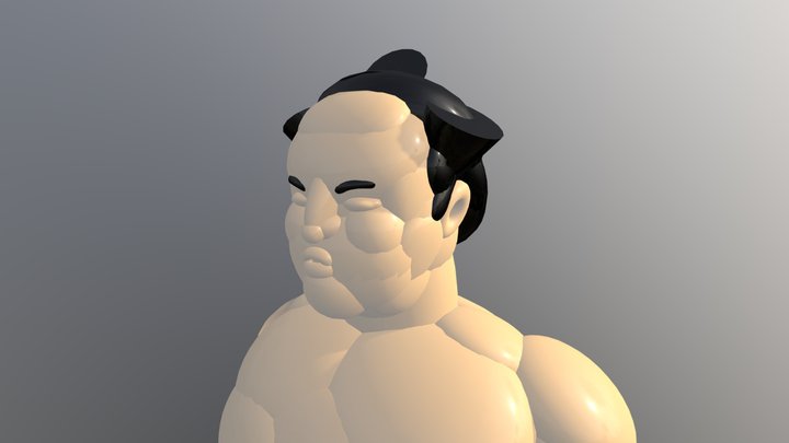 Enho First Attempt 3D Model