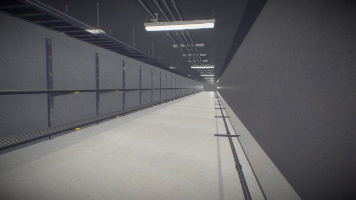 Common Duct 3D Model