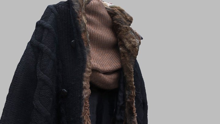 Winter is coming... vest 3D Model