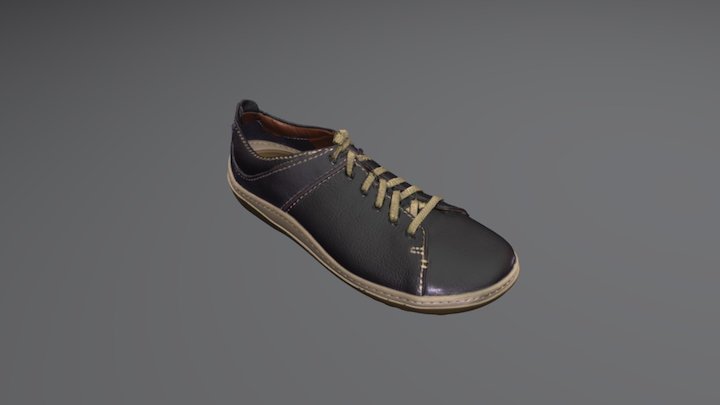 Shoe scan 3D Model