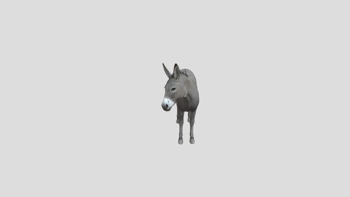 Donkey 3D Model
