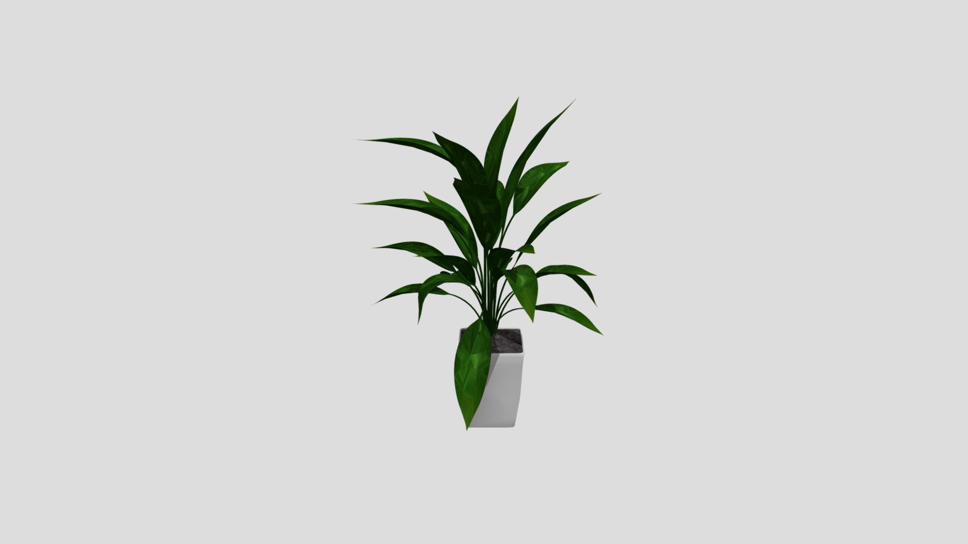 PLANTA LP