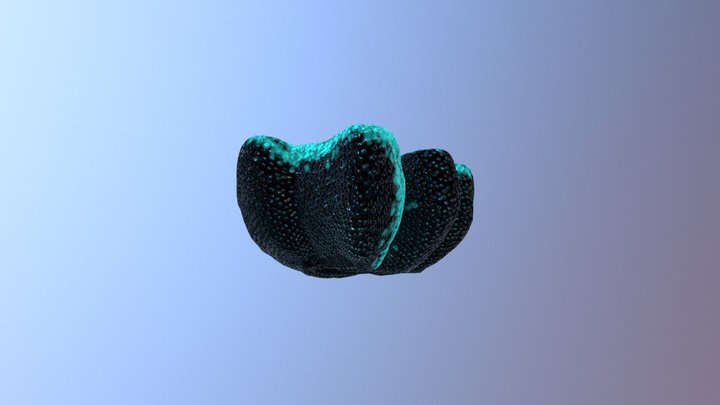 squiggly coral 3 teal 3D Model