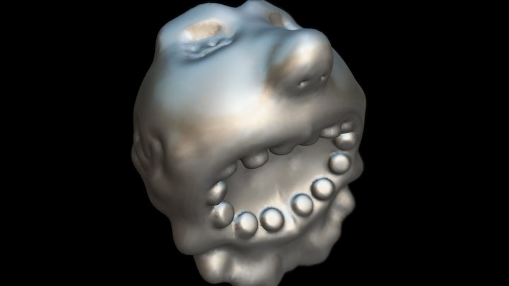 Denti 3D Model