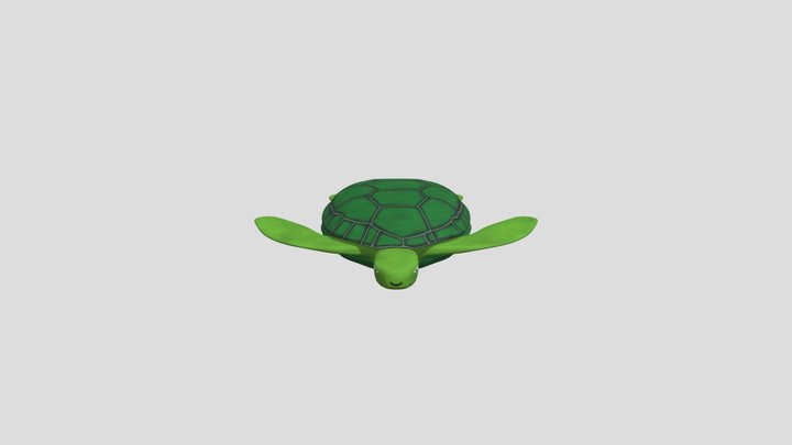 Turtle 3D Model