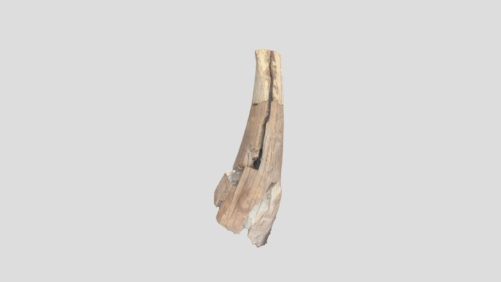 sm_LOD0 3D Model