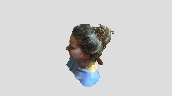 test1 3D Model