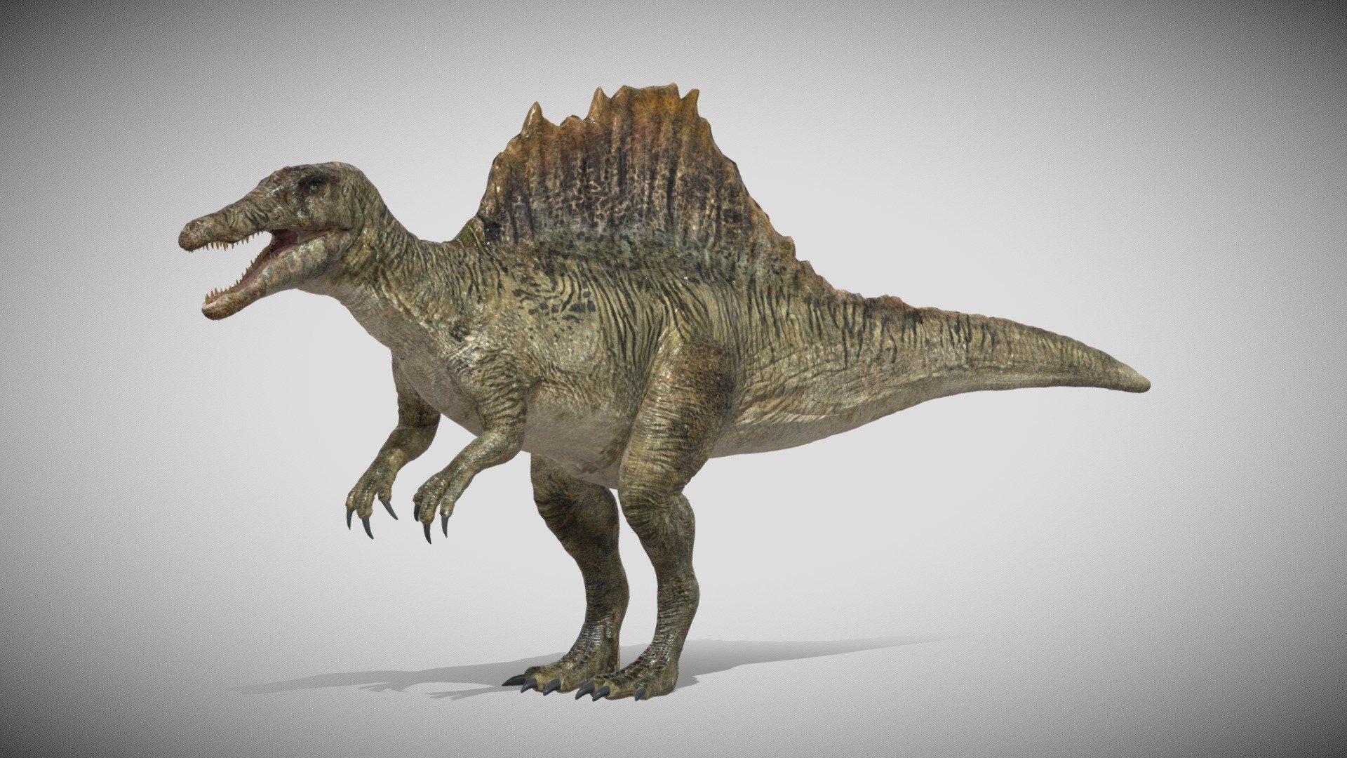 Spinosaurus Rigged 3D model