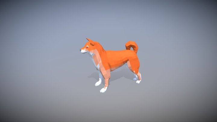 Shiba Inu Doggy 3D Model