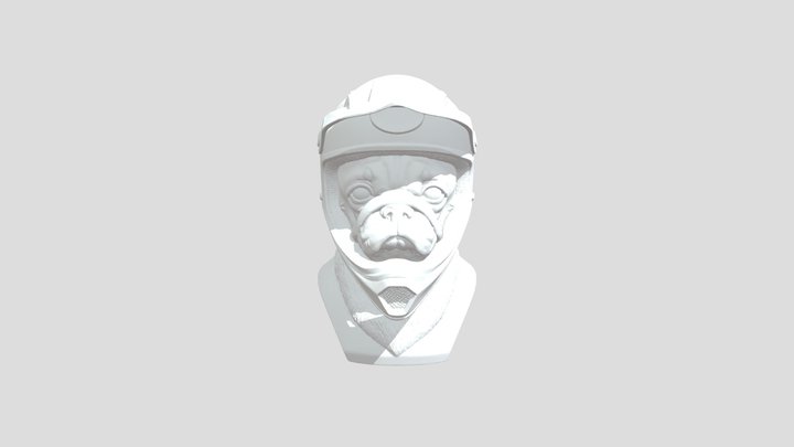 Pug Racer in MX helmet 3D Model