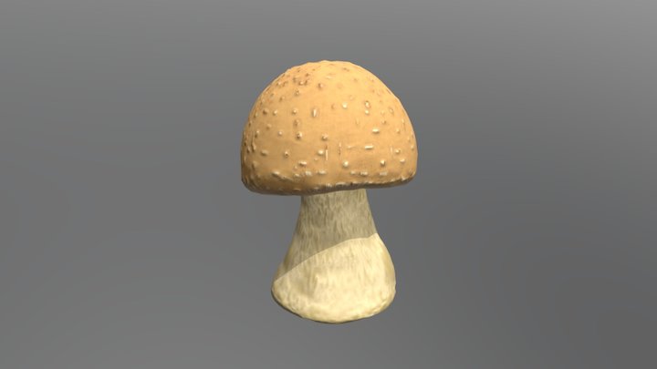 GART_CDV_Mushroom_01 3D Model