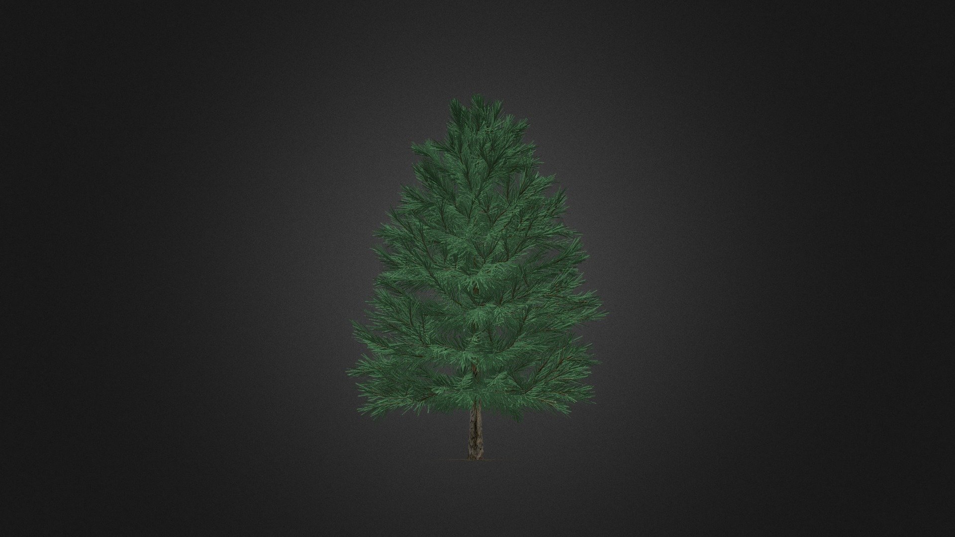 pinetree — Sketchfab embed 3D viewer