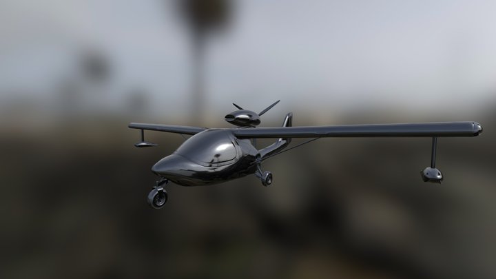 Sea Fly 3D Model