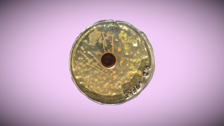 Petri dish/Lefke mine river water cultivation 3D Model