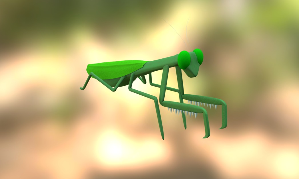 Praying Mantis - 3D model by ianmarsh [87b1356] - Sketchfab