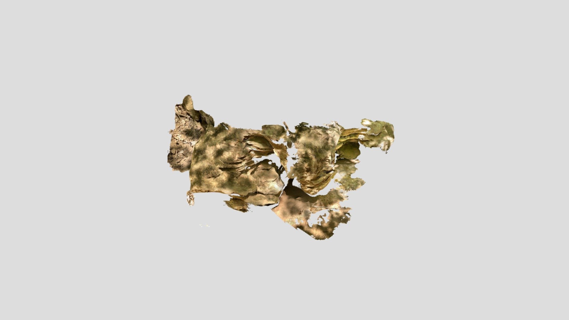 outcrop 3d scanner app