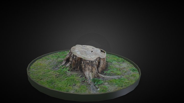 Tocon 3D models - Sketchfab
