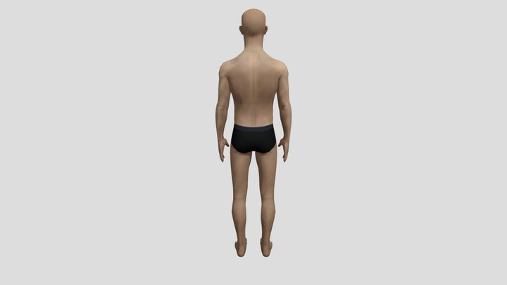 Human 3D Model