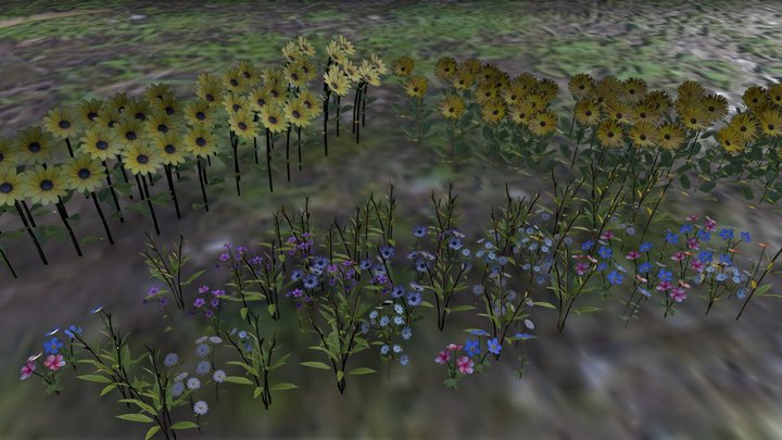 Flower Presentation 3D Model