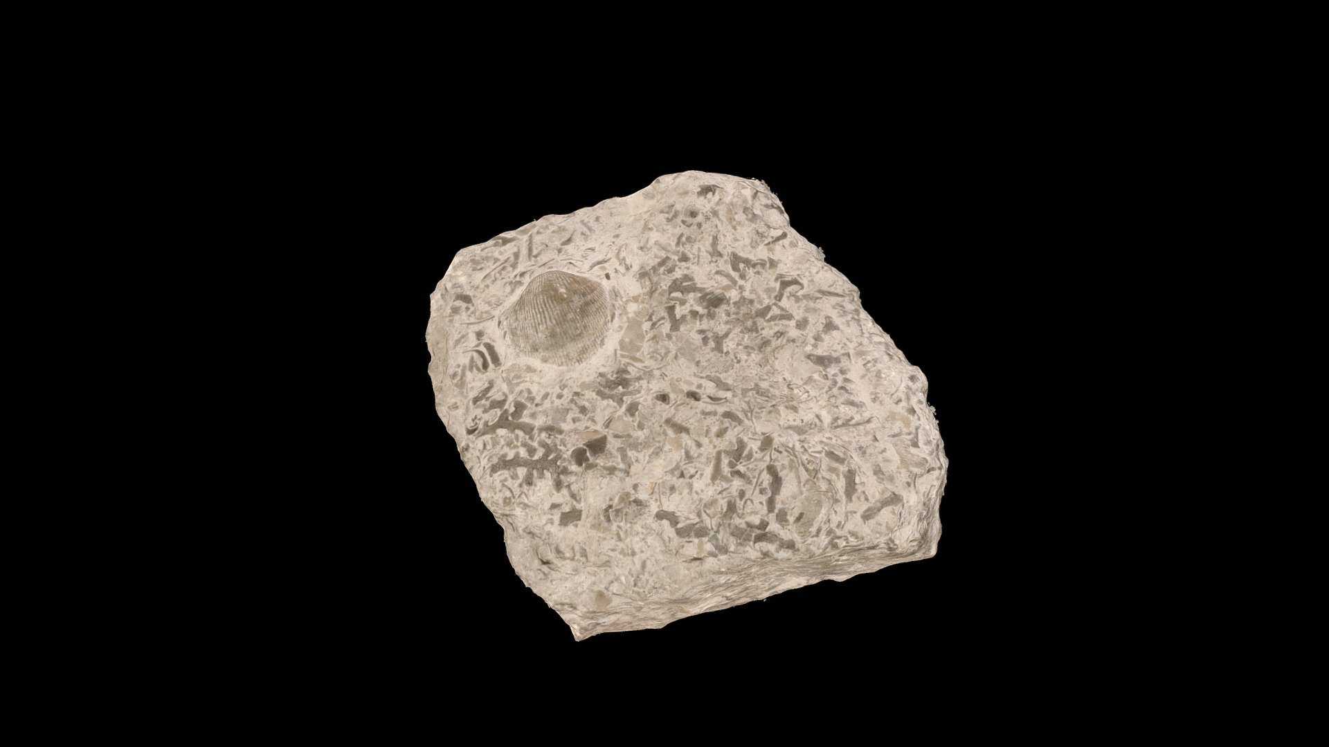 Geol316_G